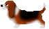 bassethound2.gif