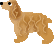 spaniel2.gif