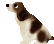 spaniel5.gif