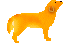 golden2.gif