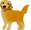 golden4.gif