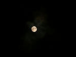 moon2.jpg