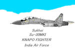 Su-30.jpg