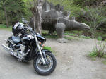 DSCN0920.jpg