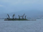 DSCN0928.jpg