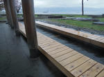 DSCN0939.jpg