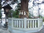 DSCN0942.jpg