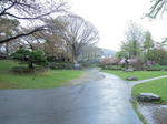 DSCN0949.jpg