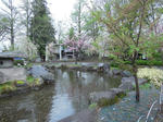 DSCN0954.jpg