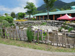 DSCN0984.JPG