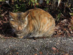 DSCN0896.JPG
