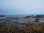 DSCN0878.JPG