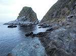 DSCN0870.JPG