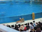 DSCN1092.JPG