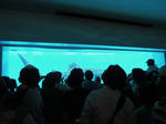 DSCN1095.JPG