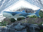 DSCN1093.JPG