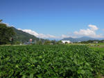 DSCN1117.JPG