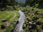 DSCN1129.JPG