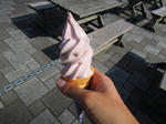 DSCN1203.JPG