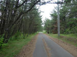 DSCN1279.JPG
