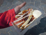 DSCN1282.JPG