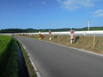 DSCN1284.JPG