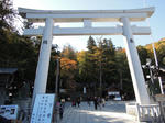 DSCN1474.jpg