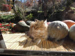 DSCN1491.jpg