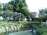 K3300007.JPG