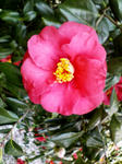 K3300099.JPG