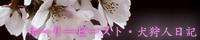 kirua_newbanner.jpg