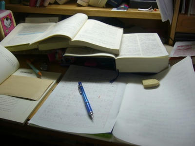 P1000939.JPG