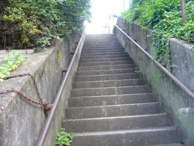 P1010559.JPG