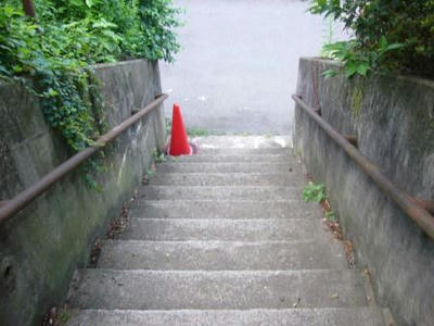 P1010560.JPG