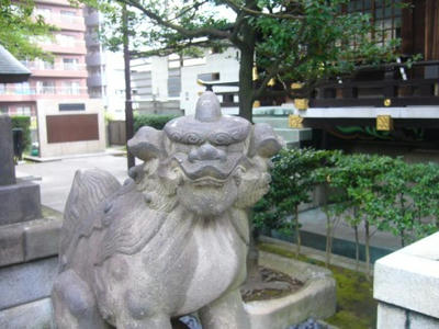 P1010567.JPG