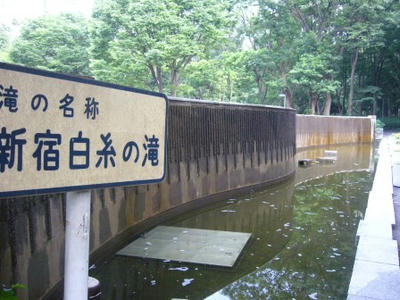 P1010595.JPG