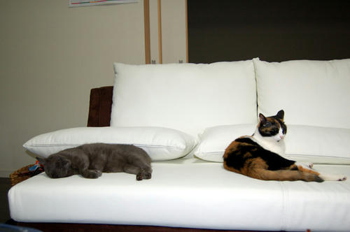 DSC_0652.jpg