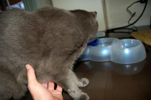 DSC_0672.jpg