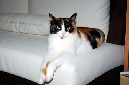 DSC_0692.jpg