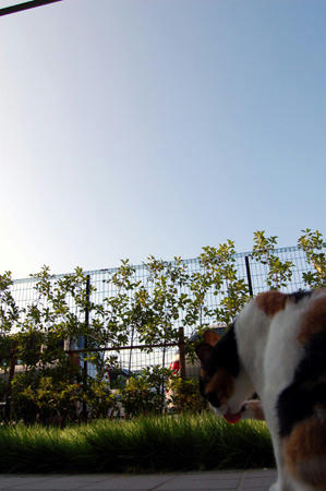 DSC_0121.jpg