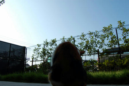 DSC_0119.jpg