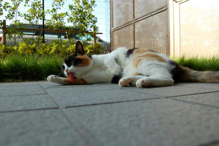DSC_0125-1.jpg