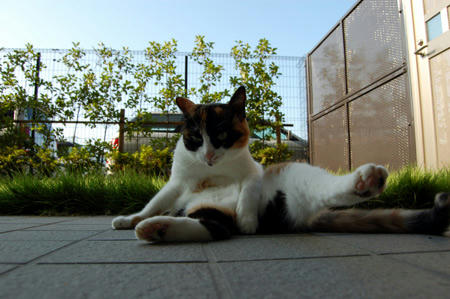 DSC_0129.jpg