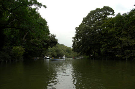 DSC_0196.jpg