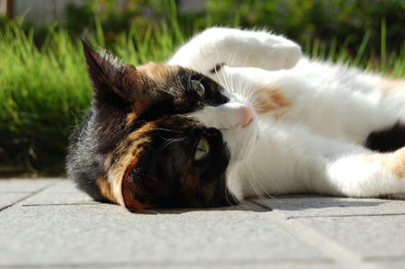 DSC_0317.jpg