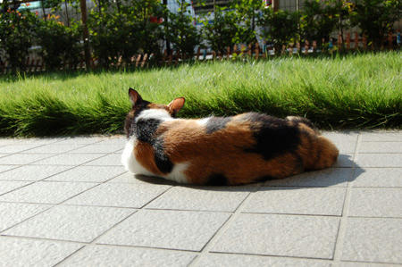 DSC_0277.jpg