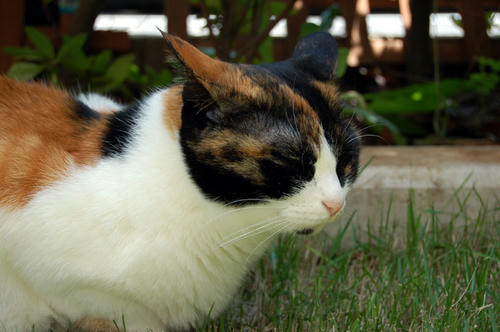 DSC_0593.jpg