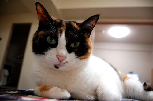 DSC_0008.jpg