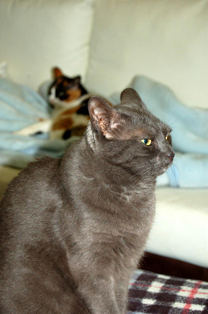 DSC_0029.jpg