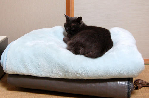 DSC_0056.jpg